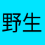 野生大迷鹿