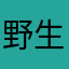 野生安德魯