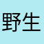野生小怪兽1213