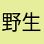 野生桃噜噜噜