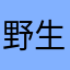 野生烤鱼🐟