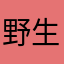 野生的桃桃丸