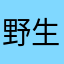 野生路人甲