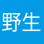 野生辅助豹
