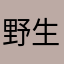 野生MOLLY