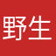 野生Zara代言人