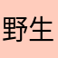 野生cq