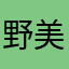 野美大人