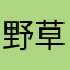 野草bear青青