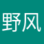 野风vvv