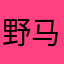 野马一匹马