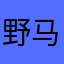 野马的夏天