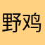 野鸡不会飞