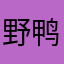 野鸭纸
