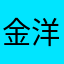 金洋洋p