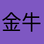 金牛座navy