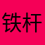 铁杆儿玩家