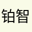 铂智3X