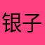 银子猪