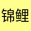 锦鲤驾到