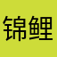 锦鲤009
