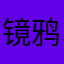 镜鸦