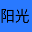 阳光菊花2023