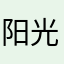 阳光车导