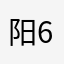 阳大 611