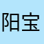 阳宝jjy