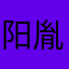 阳胤