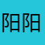 阳阳531