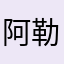 阿勒姆可调节