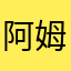 阿姆克斯AX