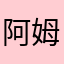 阿姆斯特朗號