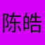 陈皓乔