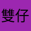 雙仔座