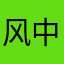 风中一羊驼