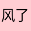 风了一样的少年