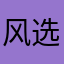风兄 e 选项