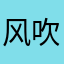 风吹的叶子2021