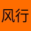 风行tank