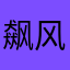 飙风部队