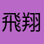 飛翔的自由