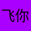 飞你理解
