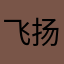 飞扬定向