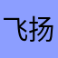 飞扬9527