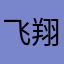 飞翔吧荷兰号