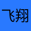 飞翔地梦