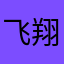 飞翔的乌鸦大乌鸦